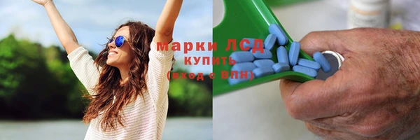 каннабис Аркадак