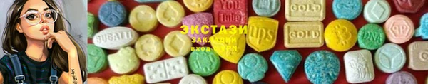 стаф Арсеньев