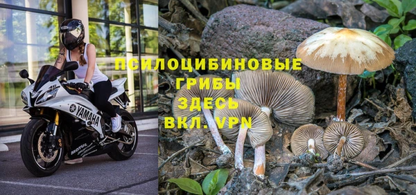 дживик Армянск