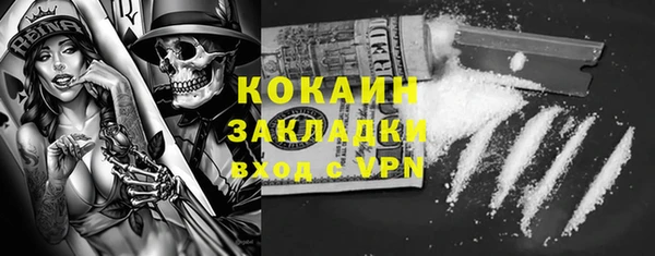 стаф Арсеньев