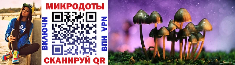 Купить где  Томмот  Псилоцибиновые грибы MAGIC MUSHROOMS 